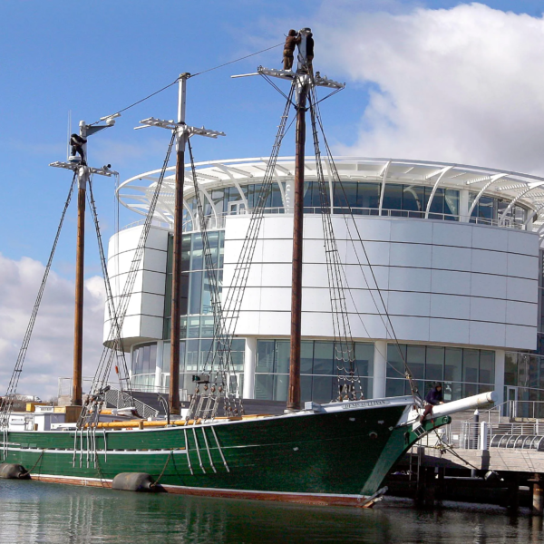 c46eb04c-e179-4b41-a5d9-6ab587b34c8a-MJS_wild_ship__01_wood