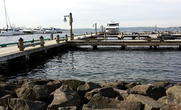 marina-park-dock